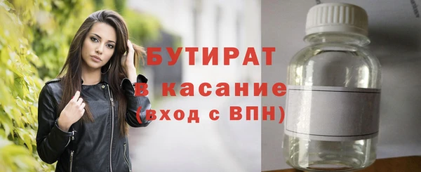 индика Алексин