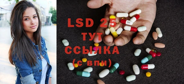 индика Алексин