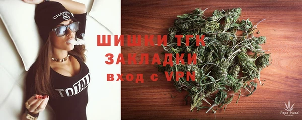 индика Алексин