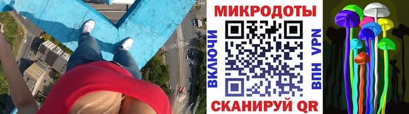 что такое Сураж кракен онион Псилоцибиновые грибы Psilocybine cubensis